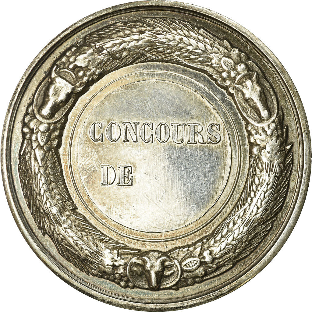 France, Medal, Comice Agricole de Marle, Aisne, MS(63), Silver
