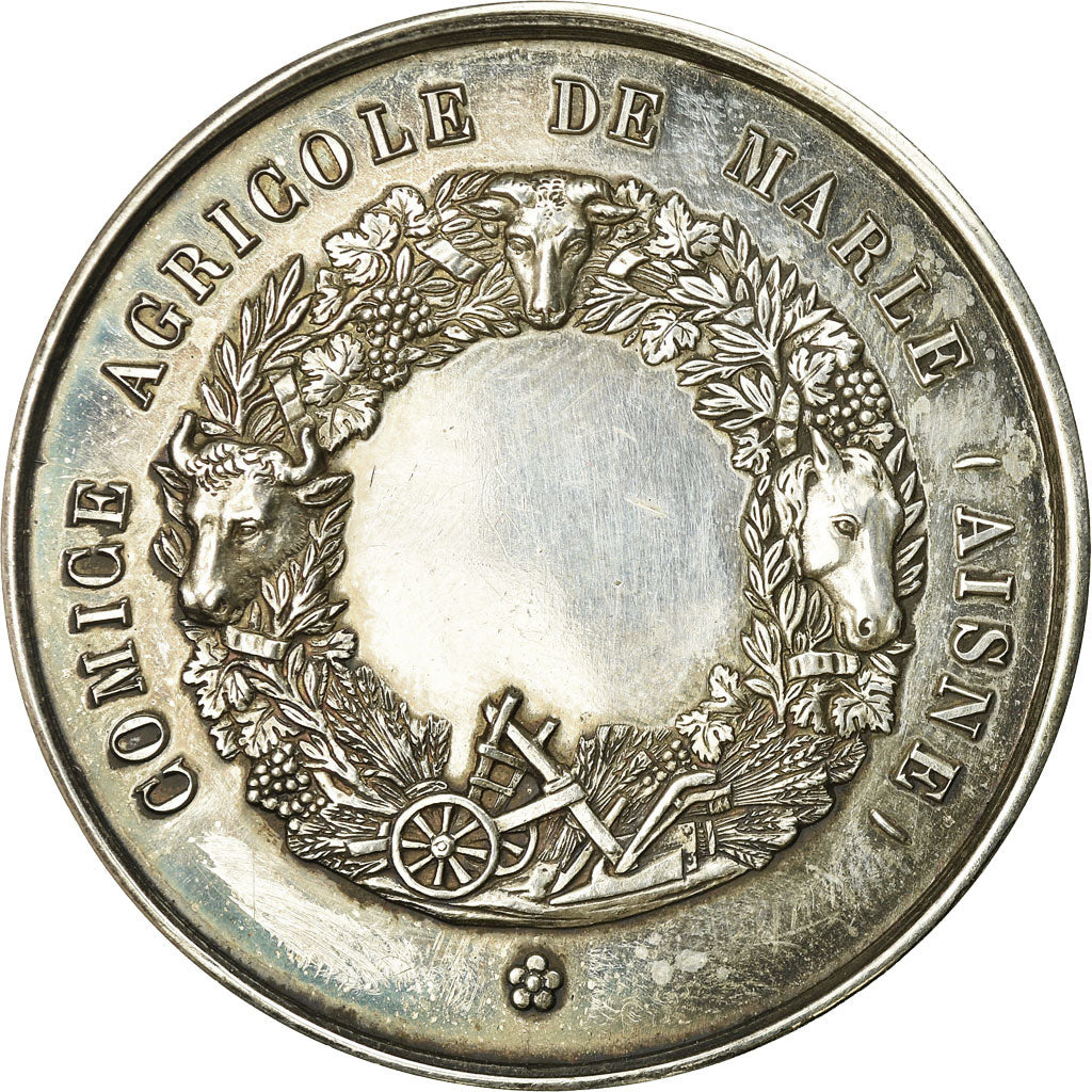 France, Medal, Comice Agricole de Marle, Aisne, MS(63), Silver