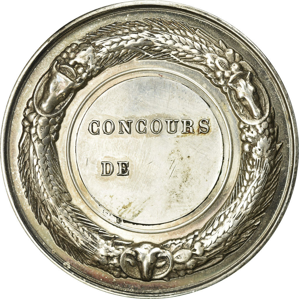 France, Medal, Comice Agricole de Marle, Aisne, MS(63), Silver