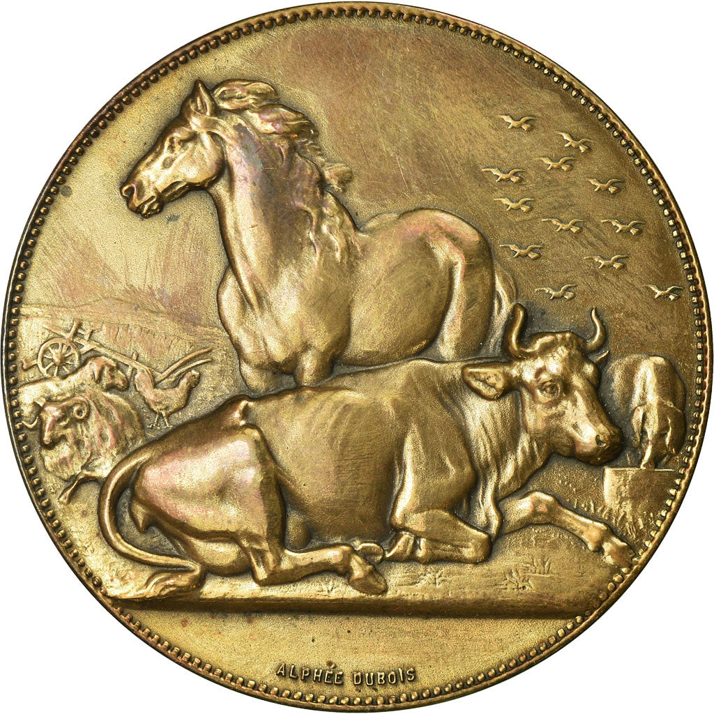 France, Medal, Comice Agricole de Cambrai, Dubois.A, MS(63), Bronze