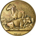 France, Medal, Comice Agricole de Cambrai, Dubois.A, MS(63), Bronze