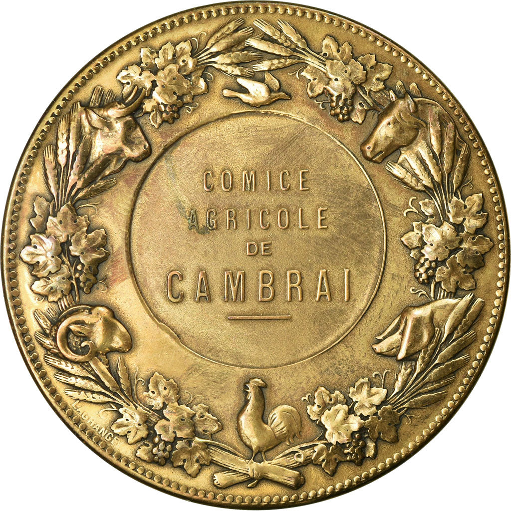 France, Medal, Comice Agricole de Cambrai, Dubois.A, MS(63), Bronze