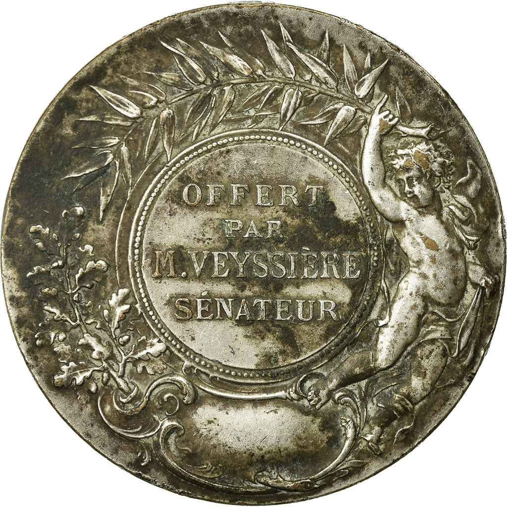 France, Medal, Marianne, Mr Veyssière, Sénateur, Rivet, EF(40-45), Silvered