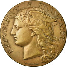 Francia, medalla, Agriculture, Statistique Décennale, Corrèze, 1892