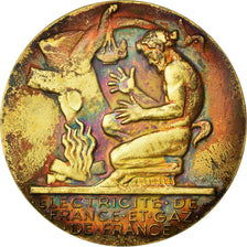 Frankreich, Medaille, Électricité de France et gaz de France, Dropsy, VZ, Gilt