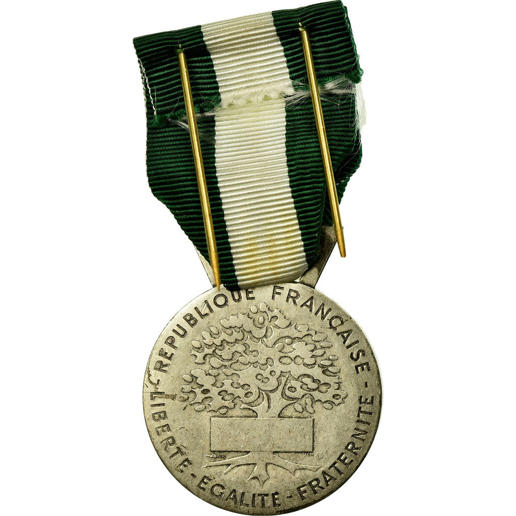 França, Médaille d'honneur communale, régionale et départementale, Medal