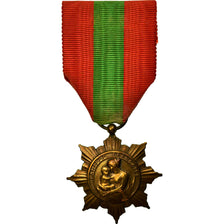 Francia, Médaille de la Famille Française, medalla, Excellent Quality, Bronce