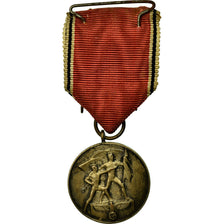 Alemania, Commémoration du 13 Mars, medalla, 1938, Muy buen estado, Bronce