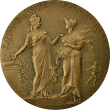 France, Médaille, Agriculture, Concours Hippique, Paris, 1914, Dubois.A, SUP