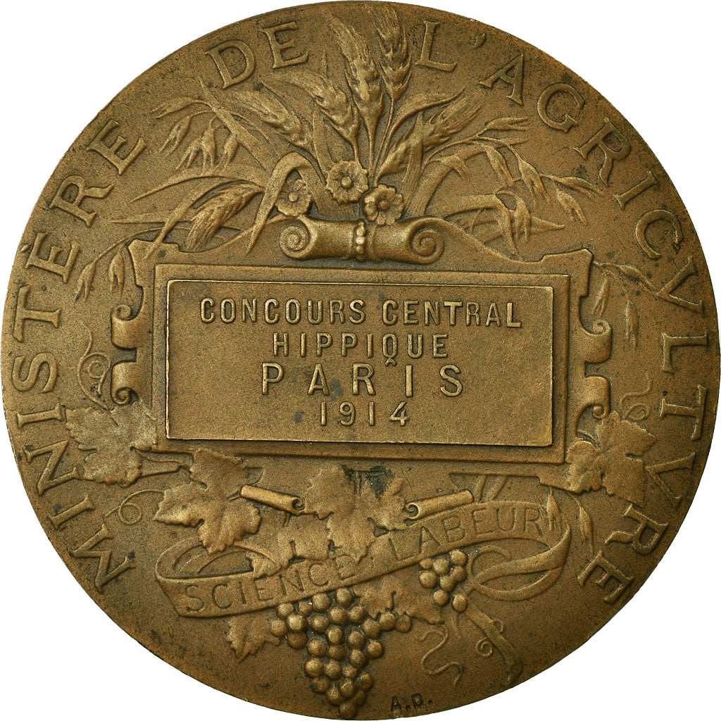 France, Médaille, Agriculture, Concours Hippique, Paris, 1914, Dubois.A, SUP