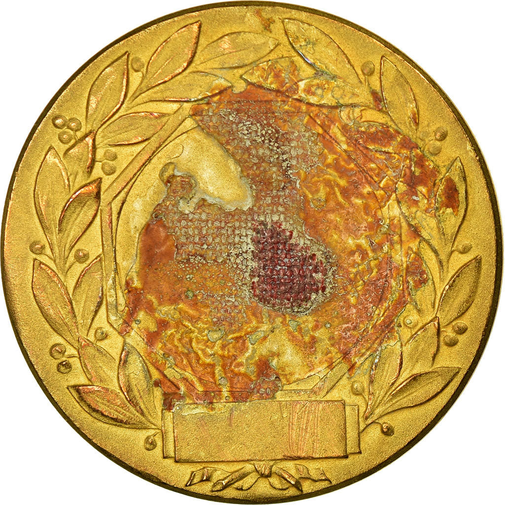 Francja, Medal, Musique, Accordéon, Tschudin, AU(50-53), Bronze
