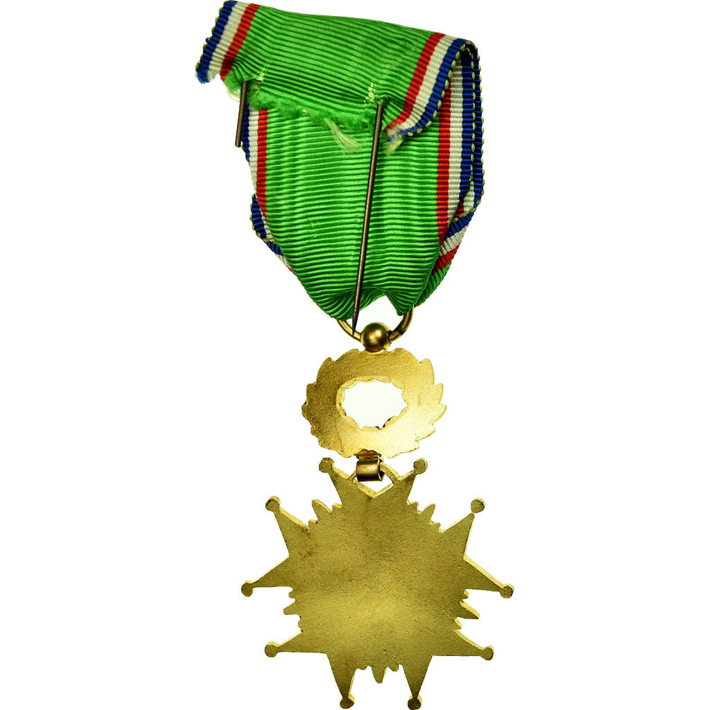 France, Croix pour l'Oeuvre Humanitaire, Médaille, Excellent Quality, Gilt