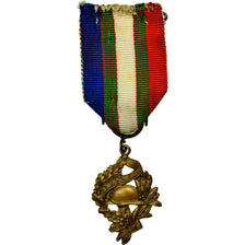 France, Union Nationale des Combattants, Médaille, Excellent Quality, Bronze