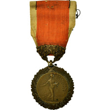 Francja, Ministère de l'Hygiène, Prévoyance Sociale, Medal, Undated, Bardzo
