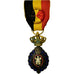 Belgien, Médaille du Travail 1ère Classe avec Rosace, Medaille, Very Good