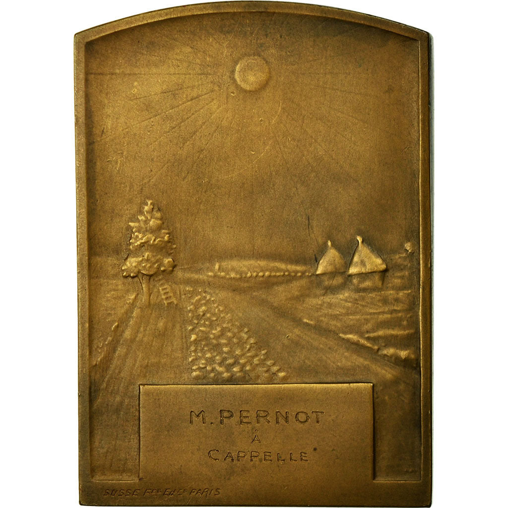France, Medal, Agriculture, Comptoir Français de l'Azote, Delannoy, MS(63)