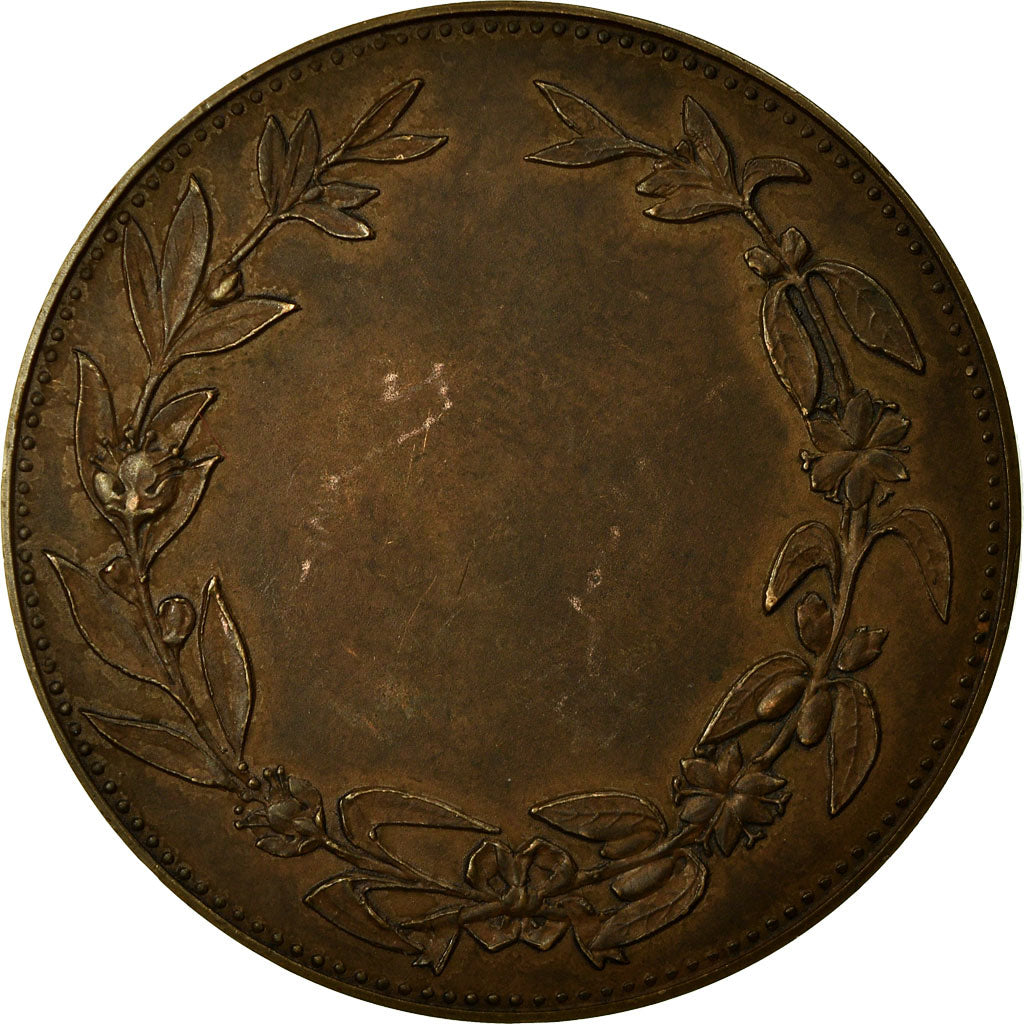 France, Medal, Ligue Nationale contre l'Alcoolisme, Oudiné, AU(55-58), Bronze