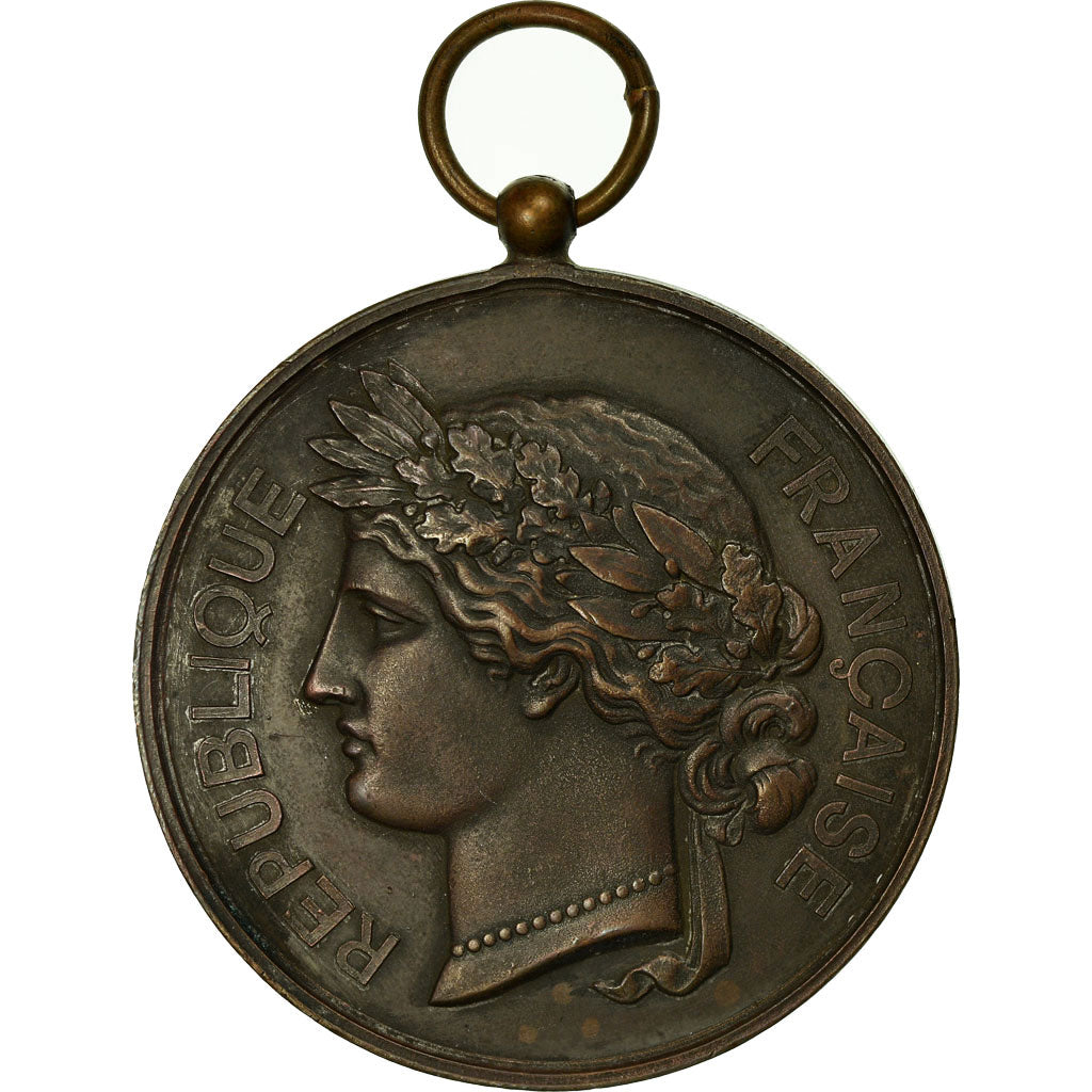 France, Medal, Société de Tir de l'Armée Territoriale, Lyon, AU(50-53)