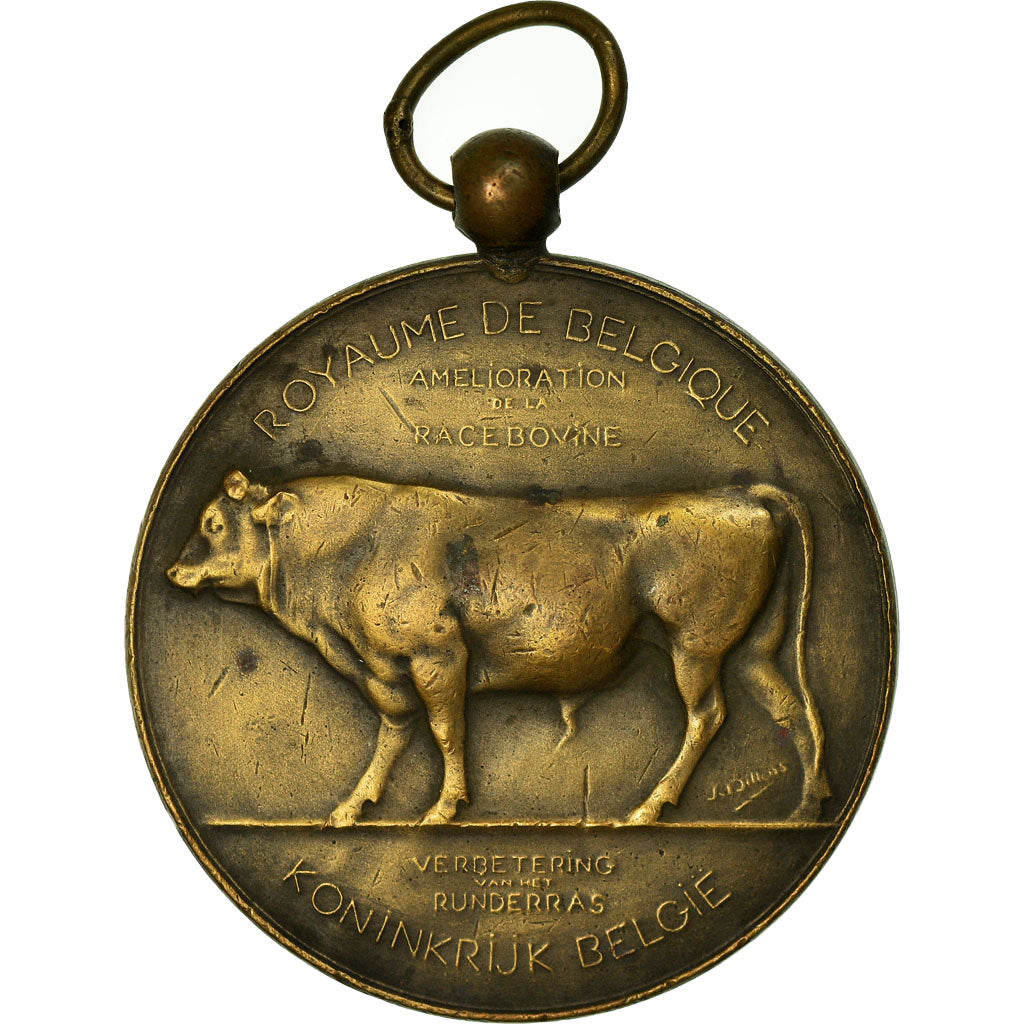 Bélgica, Medal, Agriculture, Amélioration de la Race Bovine, Namur, Dillens