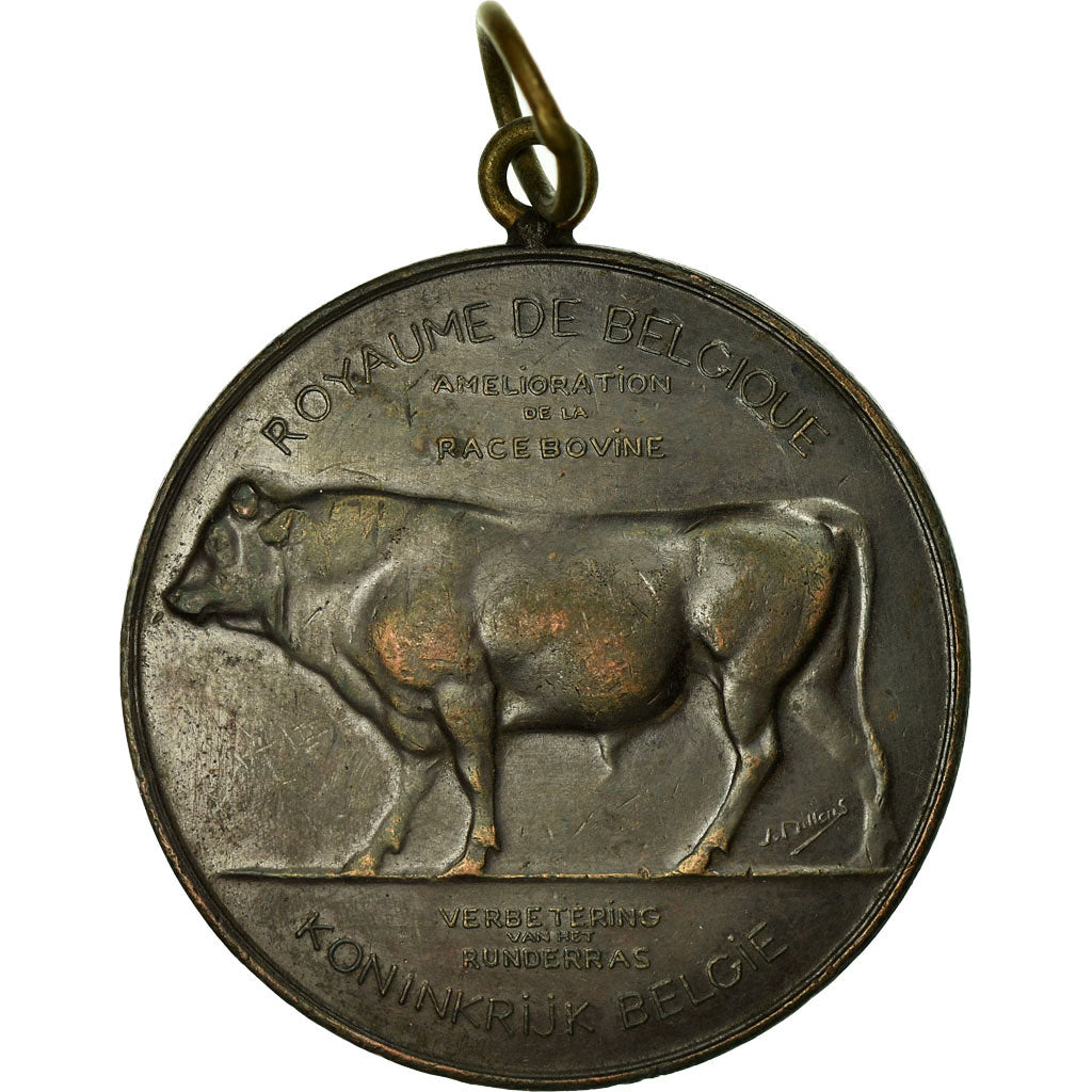 Belgio, medaglia, Agriculture, Amélioration de la Race Bovine, Namur, Dillens
