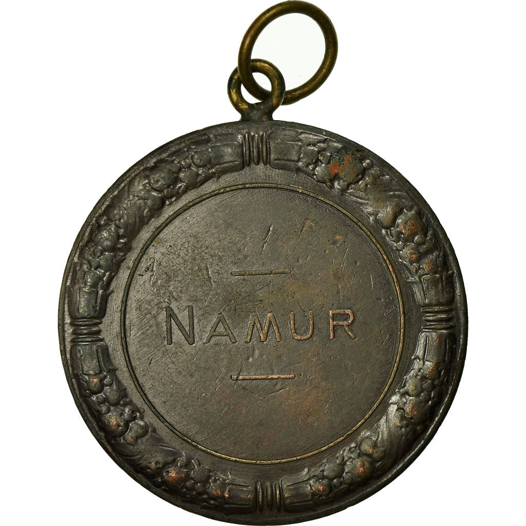 Belgio, medaglia, Agriculture, Amélioration de la Race Bovine, Namur, Dillens