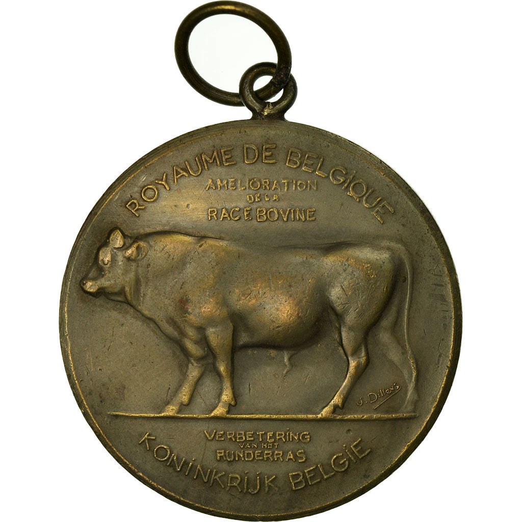 Belgio, medaglia, Agriculture, Amélioration de la Race Bovine, Namur, Dillens
