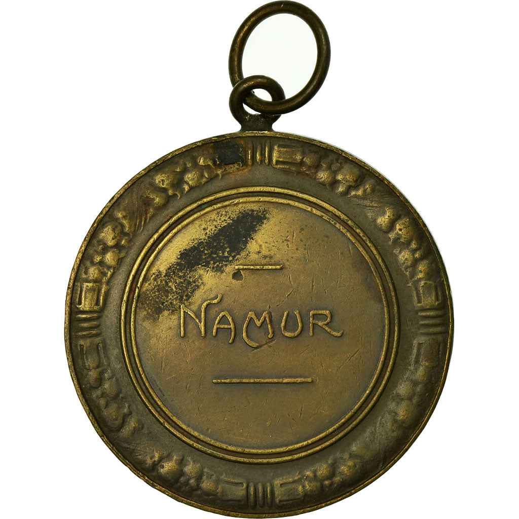 Belgio, medaglia, Agriculture, Amélioration de la Race Bovine, Namur, Dillens