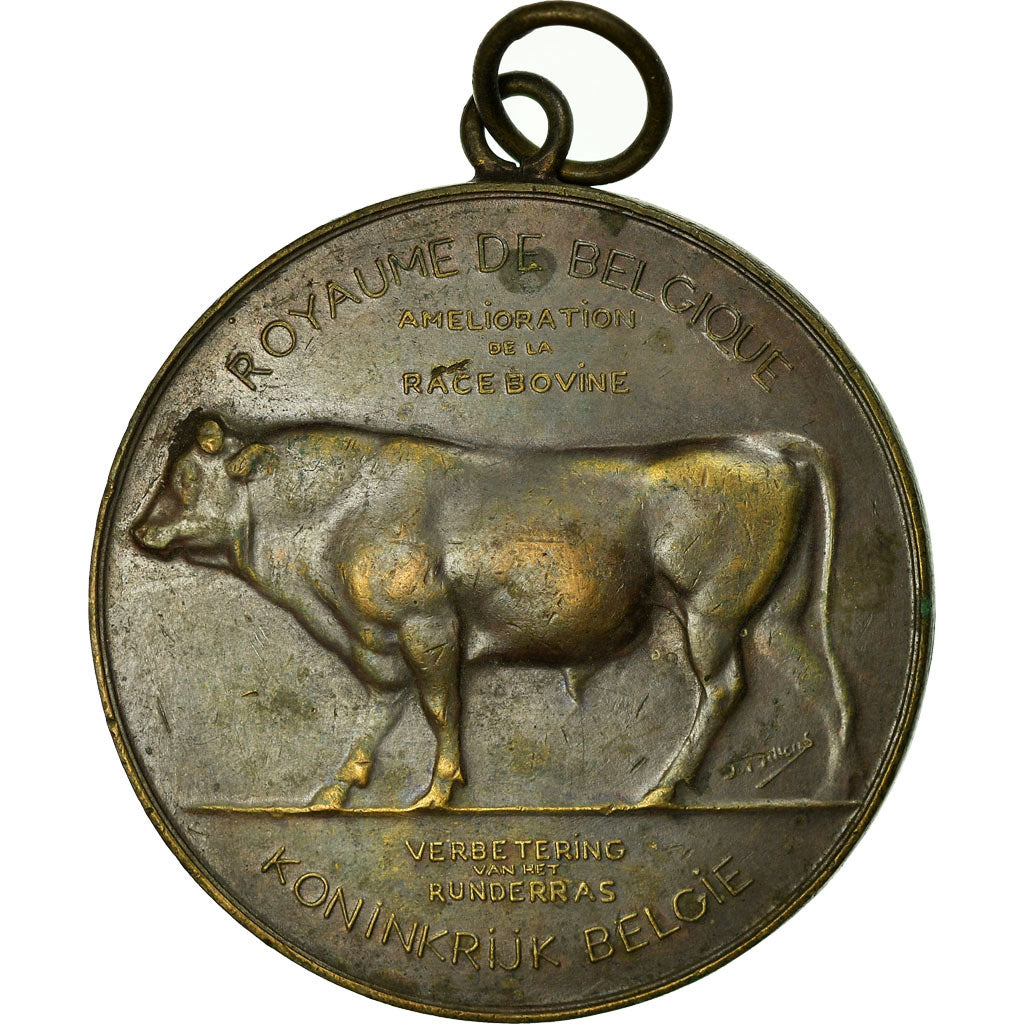 Belgien, Medaille, Agriculture, Amélioration de la Race Bovine, Namur, Dillens