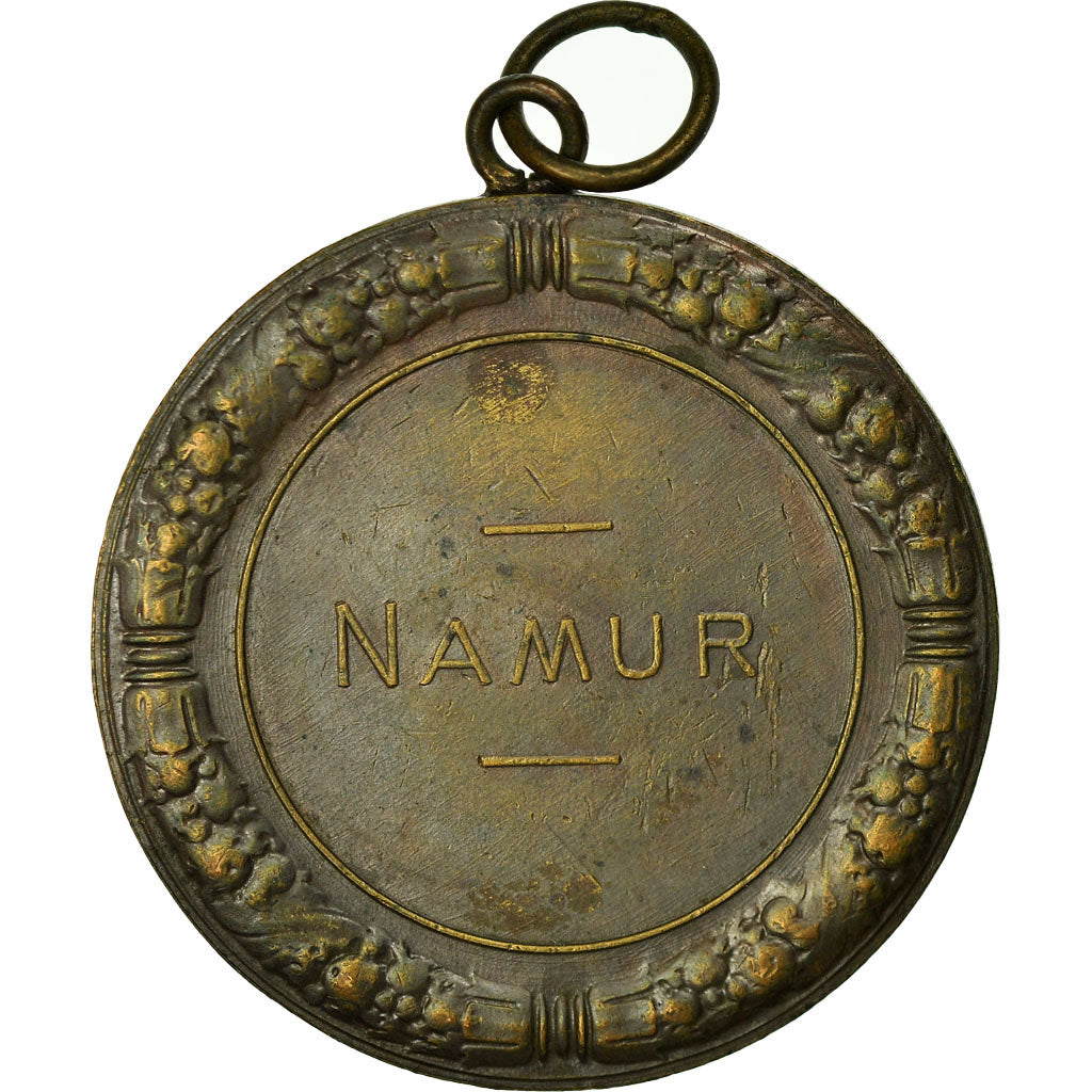 Belgien, Medaille, Agriculture, Amélioration de la Race Bovine, Namur, Dillens