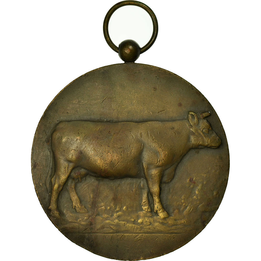 Belgique, Médaille, Agriculture, Concours National de Bétail, Liège, 1930