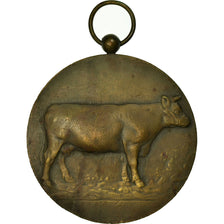 Belgium, Medal, Agriculture, Concours National de Bétail, Liège, 1930