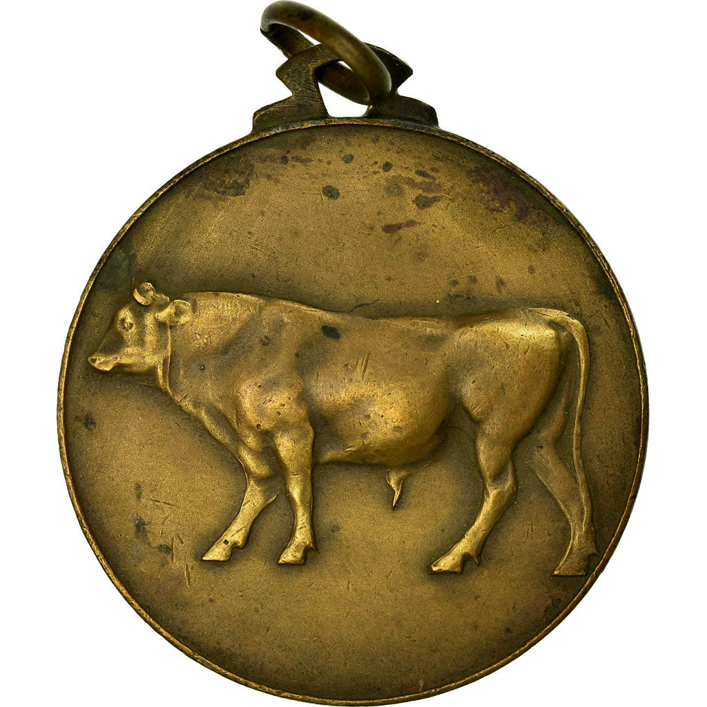 Belgium, Medal, Agriculture, Fédération des Syndicats d'Elevage, Couvin