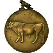 Belgium, Medal, Agriculture, Fédération des Syndicats d'Elevage, Couvin