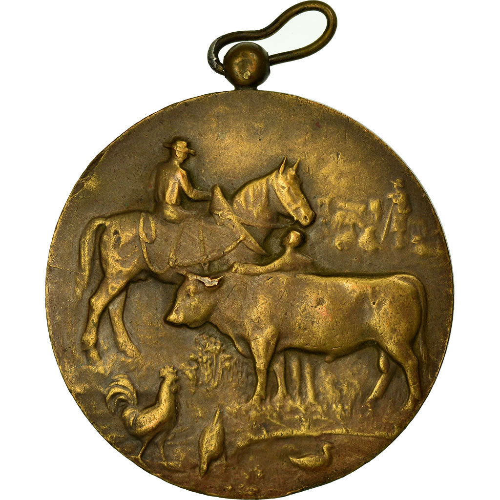Belgien, Medaille, Agriculture, Comice Agricole de Couvin, 1936, SS+, Bronze