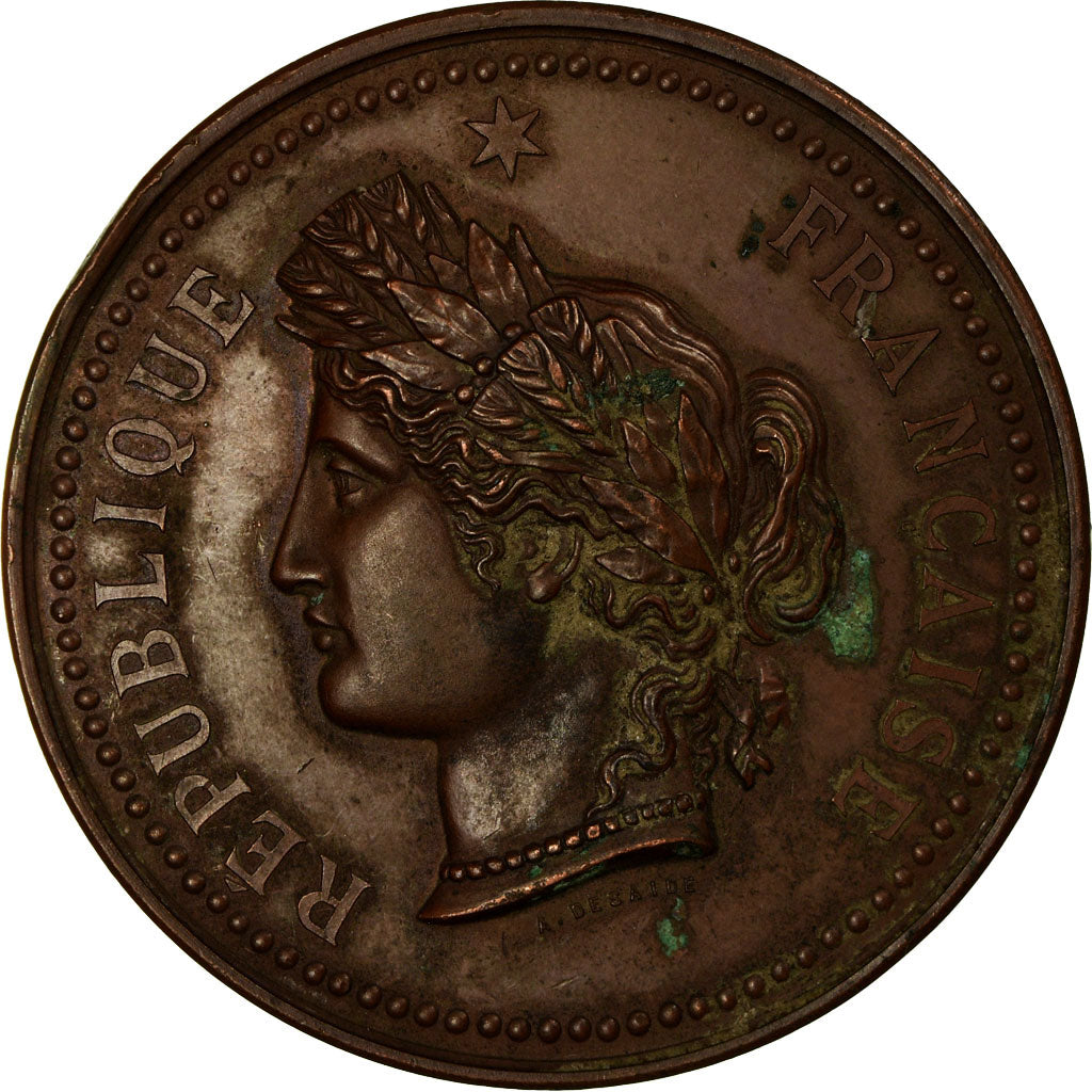 Francia, medaglia, Abgriculture, Comice Agricole de Saumur, 1890, Desaide, BB+