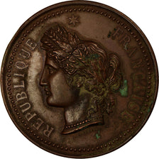 Francia, medaglia, Abgriculture, Comice Agricole de Saumur, 1890, Desaide, BB+