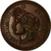 Francia, medaglia, Abgriculture, Comice Agricole de Saumur, 1890, Desaide, BB+