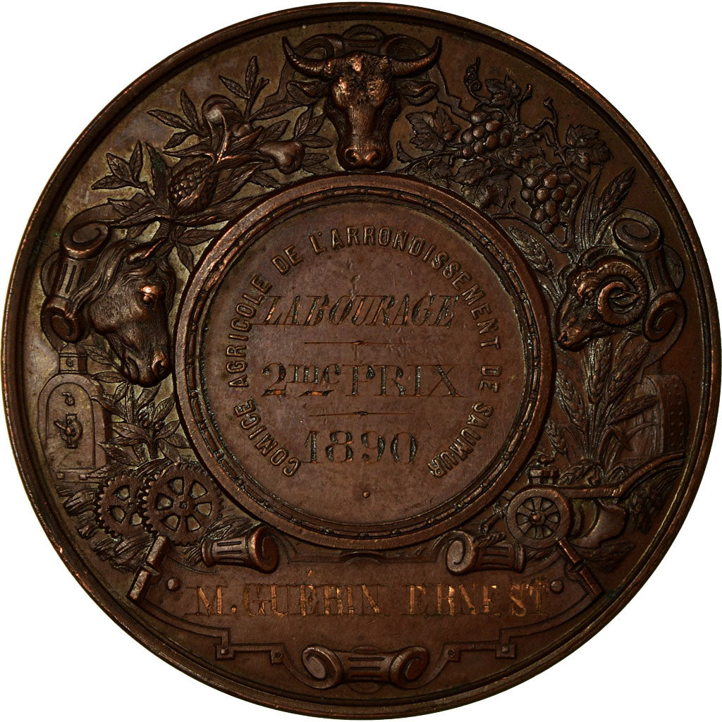 Francia, medaglia, Abgriculture, Comice Agricole de Saumur, 1890, Desaide, BB+