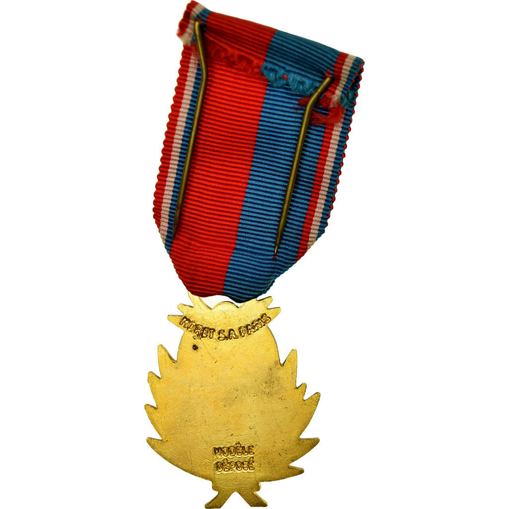 France, Confédération Musicale de France, Medal, Uncirculated, Gilt Bronze, 38