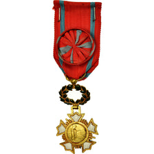 France, Croix de l'Ordre Patrie, Art, Humanisme, Civisme, Medal, Excellent