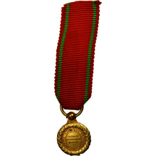 France, Mérite National Français, Médaille, Non circulé, Gilt Bronze, 14