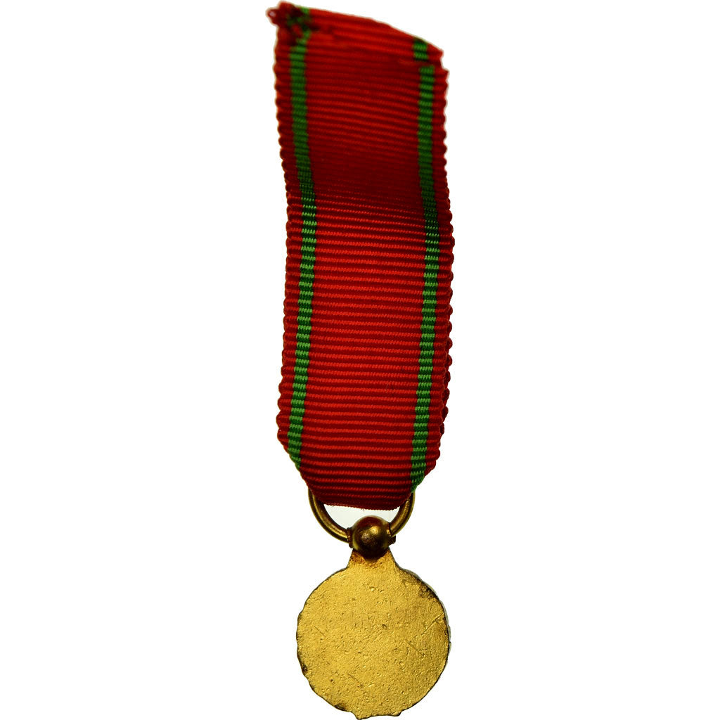 France, Mérite National Français, Médaille, Non circulé, Gilt Bronze, 14