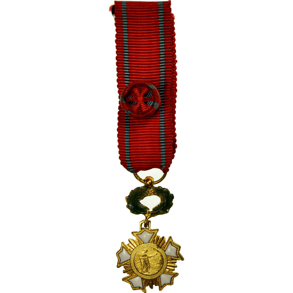 France, Croix de l'Ordre Patrie, Art, Humanisme, Civisme, Medal, Excellent