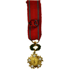 France, Croix de l'Ordre Patrie, Art, Humanisme, Civisme, Medal, Excellent