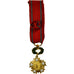 France, Croix de l'Ordre Patrie, Art, Humanisme, Civisme, Medal, Excellent