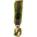 France, Encouragement Public, Medal, Excellent Quality, Gilt Bronze, 14
