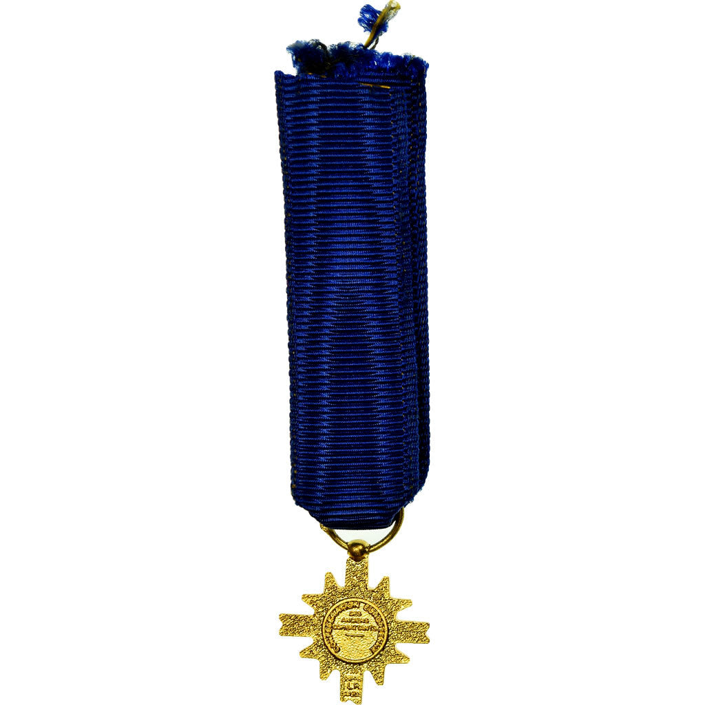 France, Confédération européenne des Anciens Combattants, Medal, Very Good