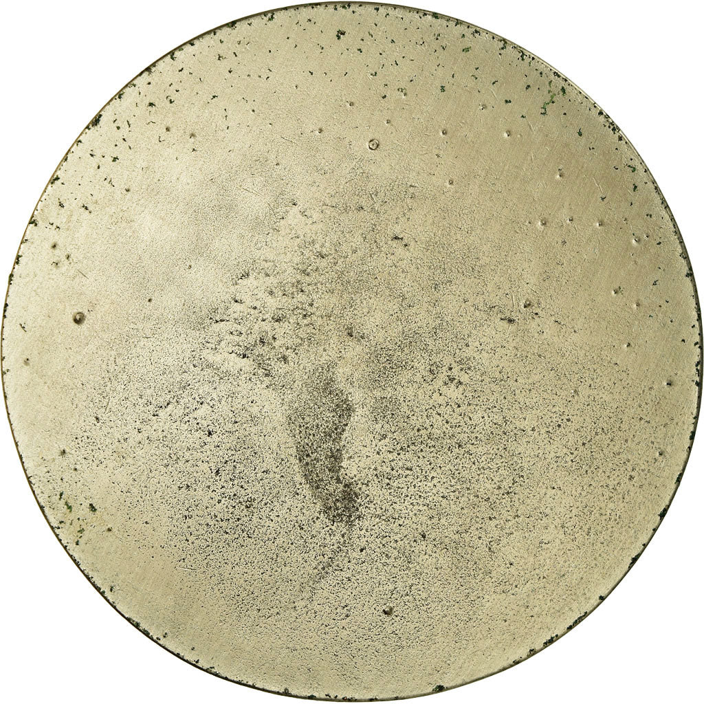 France, Medal, Ville de Dannemarie, Alsace, MS(60-62), Silvered bronze