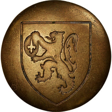 France, Medal, Ville de Salon de Provence, AU(55-58), Bronze