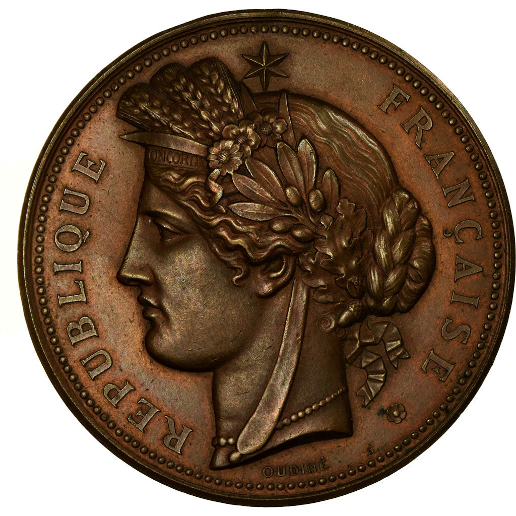 France, Medal, Exposition Universelle de Paris, Trocadéro, 1878, Oudiné